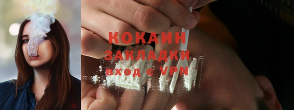2c-b Ельня
