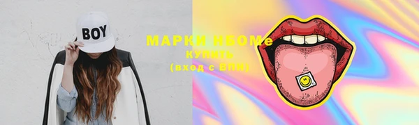 прущие грибы Новозыбков