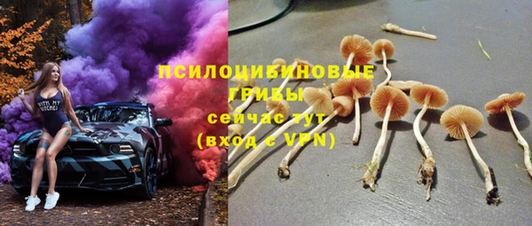 спайс Елабуга