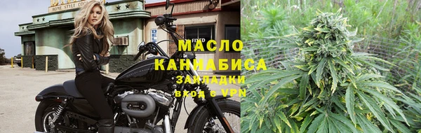 2c-b Ельня