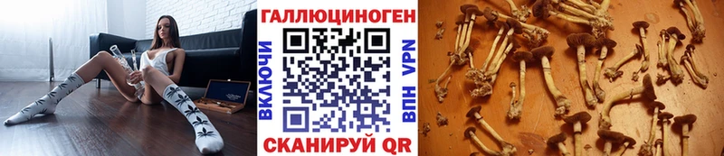 Псилоцибиновые грибы ЛСД  OMG   Питкяранта 